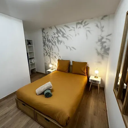 Le Tropical - Hyper Centre - Patio Prive - Wifi Niort