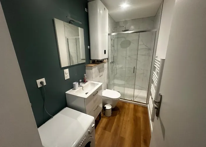 Le Tropical - Hyper Centre - Patio Prive - Wifi Appartement